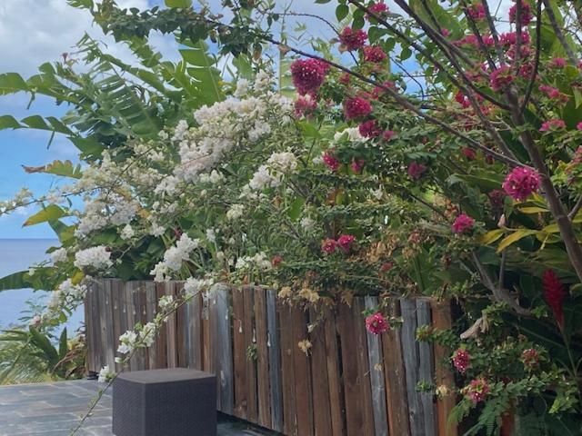 Bungalows Mathilde-Non Fumeur บูญองต์ ภายนอก รูปภาพ